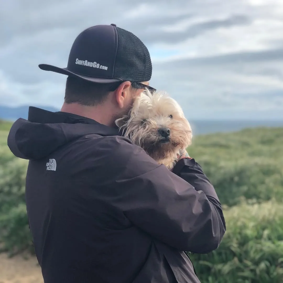 Sniff and Go walker holding a small dog at the San Francisco coast